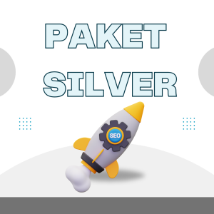 Jual Jasa Backlink Paket SEO Silver High DA Anti Drop